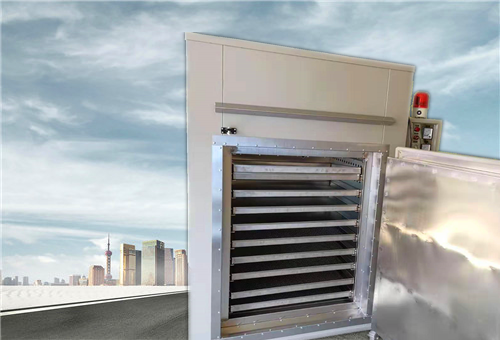 十級干凈熱風循環(huán)烘箱內室圖